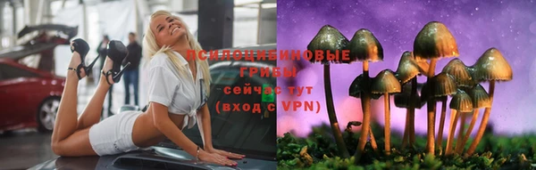 прущие крисы Нея