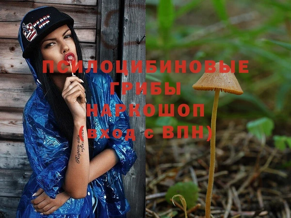прущие крисы Нея