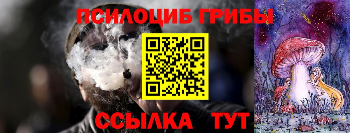Рассказово  Галлюциногенные грибы Magic Shrooms  Вход с VPN 