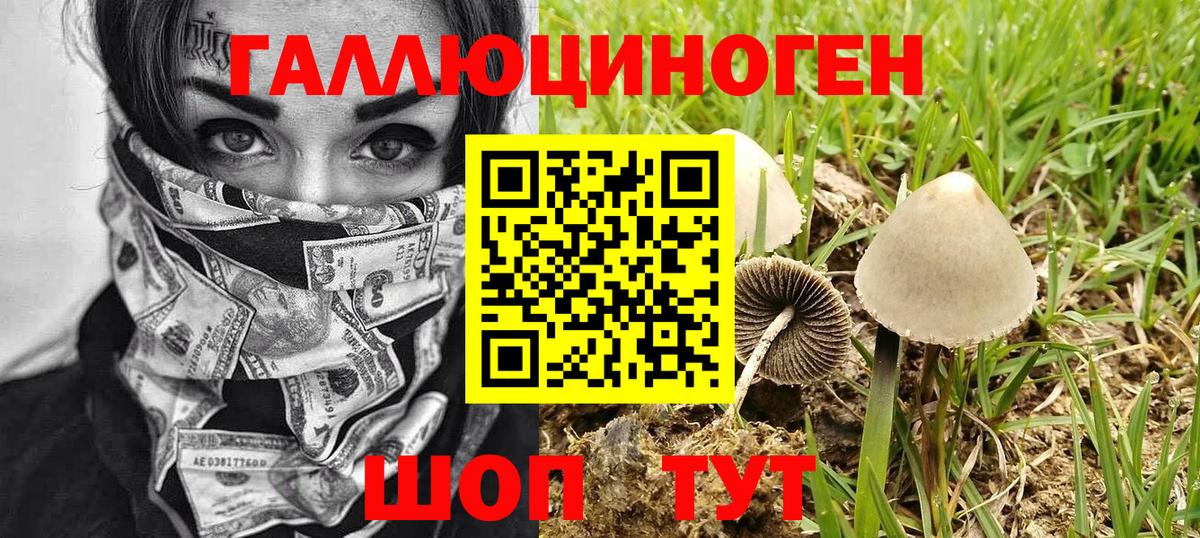 Псилоцибиновые грибы Magic Shrooms Рассказово