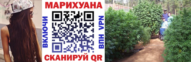 Шишки марихуана White Widow  где продают   Рассказово 